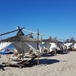 img 20170821 wa0000 largejpg 150x150