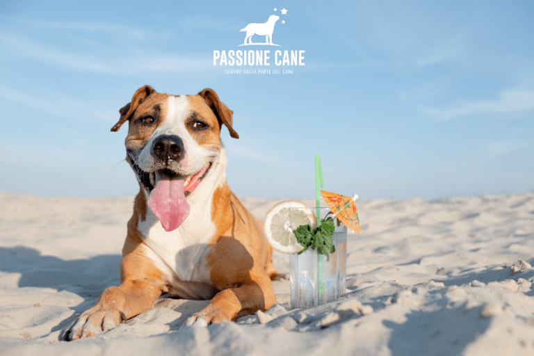 spiaggia libera per cani 3 min 768x512