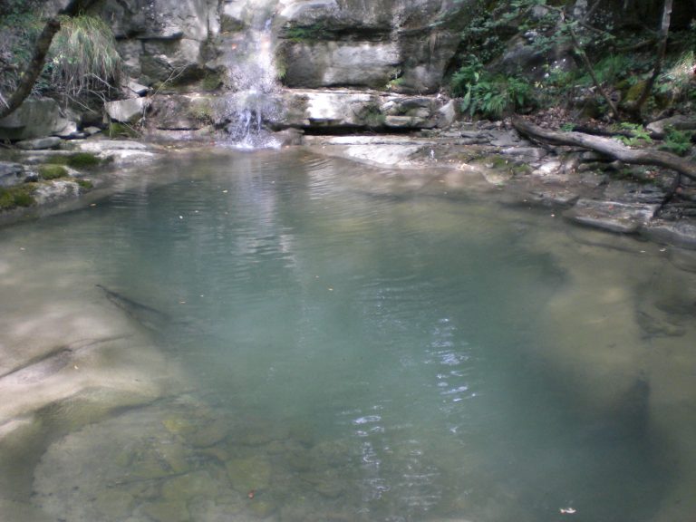 CIMG1391 768x576