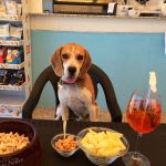 Chico aperitivo 150x150