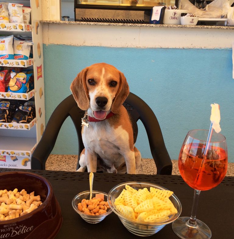 Chico aperitivo 768x783