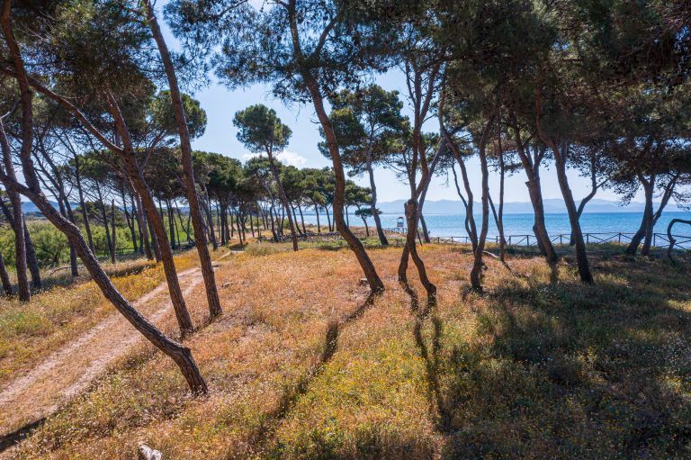 orizzonte 24 mare drone 60ridimensionato 768x511