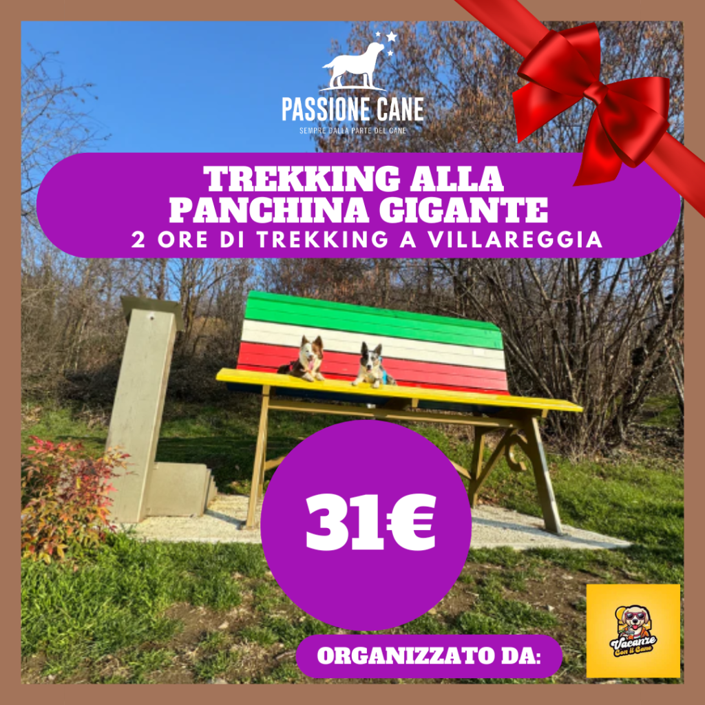 dog trekking alla panchina gigante