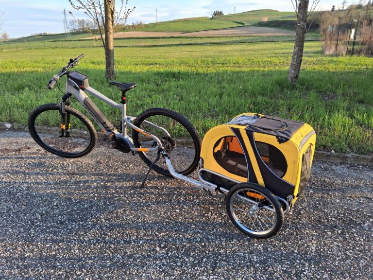 e-bike con carrellino