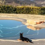 piscina acqua salata