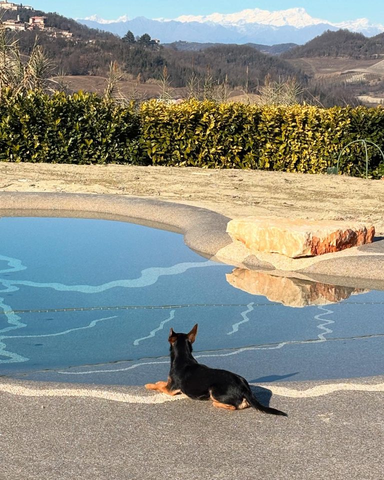 piscina acqua salata
